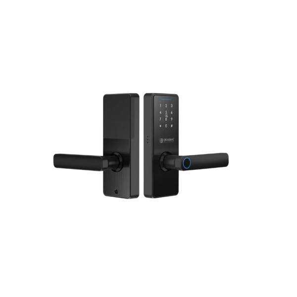Classic Smart Door Lock